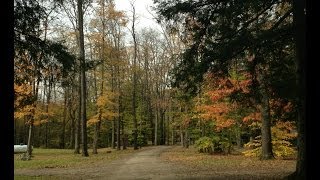 NY  Allegany State Park Creekside Cabins [upl. by Haletky]