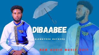 DIBAABEE Alamaayyoo Bayechaa New Afan oromo Music 2017 Ec [upl. by Oicnerual]