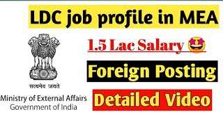 LDC Job profile in MEA  Job profile in Ministry of External Affairs  Technical Vlogger [upl. by Janicki]