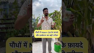 पौधों के लिए नीम तेल क्यों जरूरी benefits and use of neem oil in plants neemoil organicgardening [upl. by Bobine]