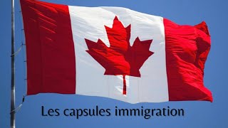 Les capsules de l’immigration comment enseigner au Quebec [upl. by Kenwrick]