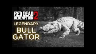 Red Dead Redemption 2 Legendary Bull Gator [upl. by Elrod]