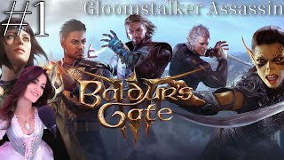 Part 1 Baldurs Gate 3 Gloomstalker Assassin Solo Run [upl. by Yral601]