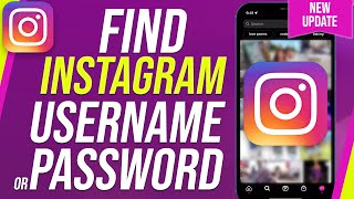 How To Find Instagram Password And Username [upl. by Naugal]