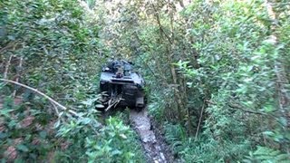 M113 APC na floresta  Exército Brasileiro [upl. by Ulphiah952]