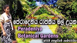 Peradeniya Royal Botanical Gardens  Sri Lanka With English Subtitles [upl. by Efron219]