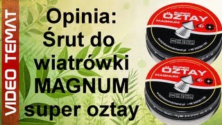 Śrut do wiatrówek Magnum super oztay  Opinia [upl. by Karim]