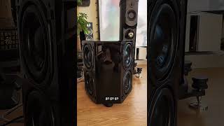 9000W subwoofer for home theater [upl. by Thormora640]