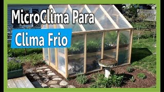 Cómo Cultivar en mi huerta de clima frío  Plantas de clima caliente [upl. by Poock265]