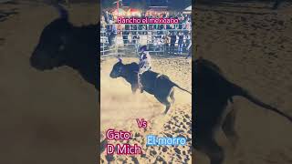 jinetes bullrider jaripeo toros guachemeco2 rodeo bullriding cowboys jaripeobaile [upl. by Kinny]