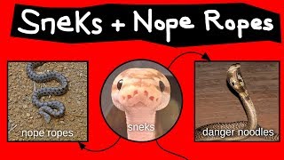 Nope Ropes Sneks amp Danger Noodles [upl. by Beata]