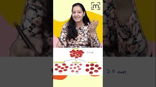 1 minute learning Normocytic Anemia  Microctic Anemia  Macrocytic Anemia  MedLive [upl. by Caines]