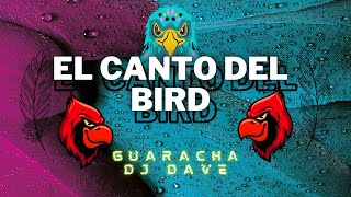 EL CANTO DEL BIRD  DJ DAVE GUARACHA [upl. by Koa798]