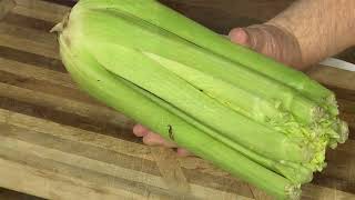 Picking the Best and Freshest Celery YourProduceMan [upl. by Htebesile]