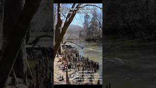 Gotta Visit Tishomingo State Park in Mississippi pt1 travel adventure mississippi [upl. by Silvester]