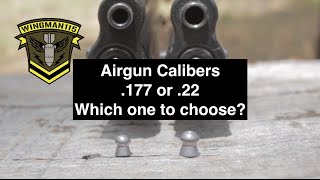 Airgun Calibers 177 or 22 Which one to choose [upl. by Stine]