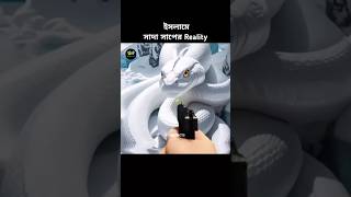 ইসলামে সাদা সাপের Reality shorts snake islam [upl. by Seilenna]