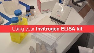 Using your Invitrogen ELISA kit [upl. by Lain]