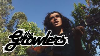 Natural Affair  The Growlers Cover [upl. by Seftton]