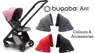 Bugaboo Ant  Colours and Accessories  New Travel Stroller 2019 [upl. by Trebleht]