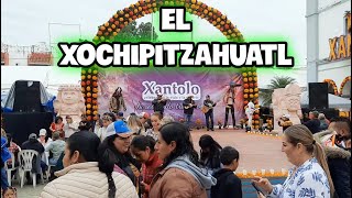 El Xochipitzahuatl en vivo san Felipe Orizatlan [upl. by Braasch]