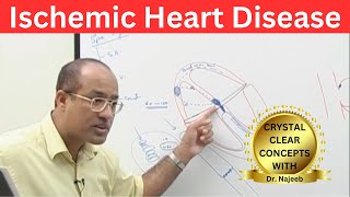 Ischemic Heart Disease  Myocardial Infarction  Cardiology🫀 [upl. by Adimra]