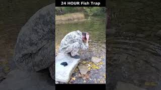 24 HOUR Fish Trap Fishing Exciting Survival Bushcraft [upl. by Canute]