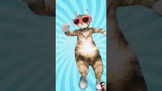 Cute cat and puppy cat catlover funny dance comedy catvideos catdancer cute [upl. by Noman]