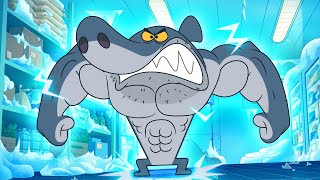 SUPER SHARK  Zig amp Sharko SEASON 3 BEST CARTOON COLLECTION  New Episodes in HD [upl. by Gemoets]