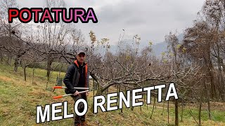 POTATURA MELO RENETTA [upl. by Riamo]