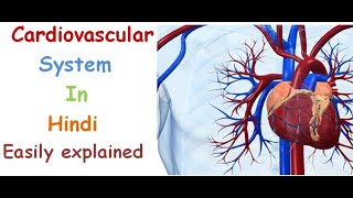 Cardiovascular system in hindi  functions  structure  pulmonary and systematic circulation [upl. by Ycnej]