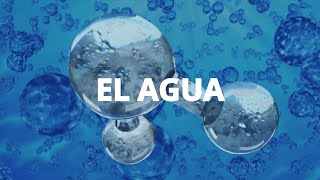 Propiedades fisicoquímicas del agua Experimento sobre la constante dieléctrica y la hidratación [upl. by Kcyrred]