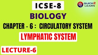 CLASS VIII BIOLOGY CH6 LYMPHATIC SYSTEM LYMPH CIRCULATORY SYSTEM BLOOD VESSELSBLOOD CIRCULATION [upl. by Alohs101]