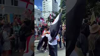 Hikoi MarchAotearoa New Zealand ❤️🖤🤍Stand Talll Indigenous 🫶🏽 [upl. by Sheppard]