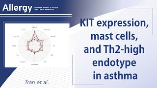 A link between KIT expression mast cell abundance and activity and Th2 high endotype in asthma [upl. by Matthaus]