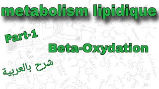 Part1  metabolism lipidique  Betaoxydation  درس الميتابوليزم بالعربية [upl. by Dallis]