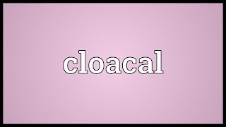 Cloacal Meaning [upl. by Filippo]