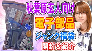 【福袋】秋葉原玄人向け大量の電子部品が入った秋月電子ジャンク福袋 開封【ジャンク】 [upl. by Shakti]