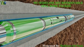 WIRELINE SET RETRIEVABLE SEAL BORE PACKER W HYDRAULIC SETTING TOOL TUBING RELEASE [upl. by Sirej268]