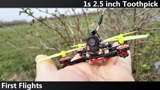 1s Toothpick FPV quad  First flights [upl. by Thirzi]