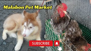 Malabon Pet Market [upl. by Amaryl]