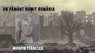 Un pământ numit România  I   Nichita Stănescu melodieAI [upl. by Ellinad45]