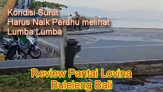 Review Pantai Lovina  Habitat Lumba lumba Buleleng Bali [upl. by Sidonie970]