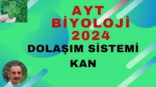 AYT BİYOLOJİ DOLAŞIM SİSTEMİ KAN 2024 ALYUVARAKYUVAR TROMBOSİT [upl. by Serena]