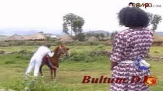 Taju Ahmed  Bokkaan roobee Oromo Music [upl. by Sisson355]