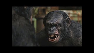 Caesar vs Koba  Dawn of the Planet of the Apes 2014LOWI [upl. by Oremar931]