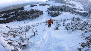 Mount Washington BC Skiing  Backside [upl. by Mok11]