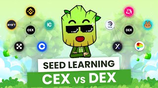 CEX vs DEX How to Choose the Best Exchange for your Crypto  SEED Learning 8 [upl. by Cybill]