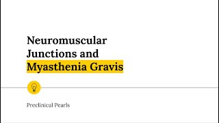 Neuromuscular Junctions and Myasthenia Gravis [upl. by Jerrold344]