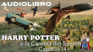 Harry Potter e la camera dei segreti  Lettura e Commento Cap 14 Audiolibro [upl. by Blood773]